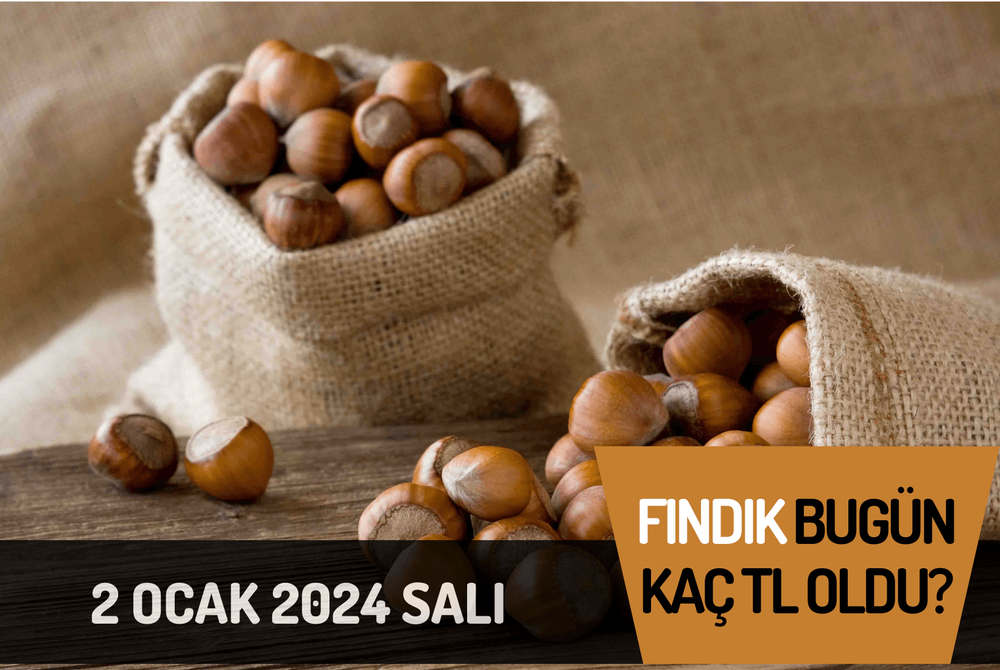 Bugün fındık kaç TL oldu 2 OCAK 2024 FINDIK TV