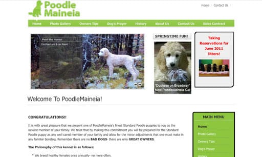 Poodle Maineia!