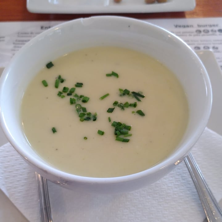 Restaurante Hicuri Art Vegan Granada Spain Vichyssoise Review Abillion