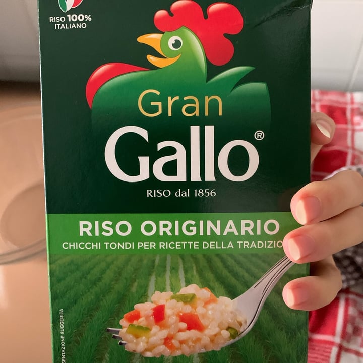 Gran Gallo Riso Arborio Review Abillion