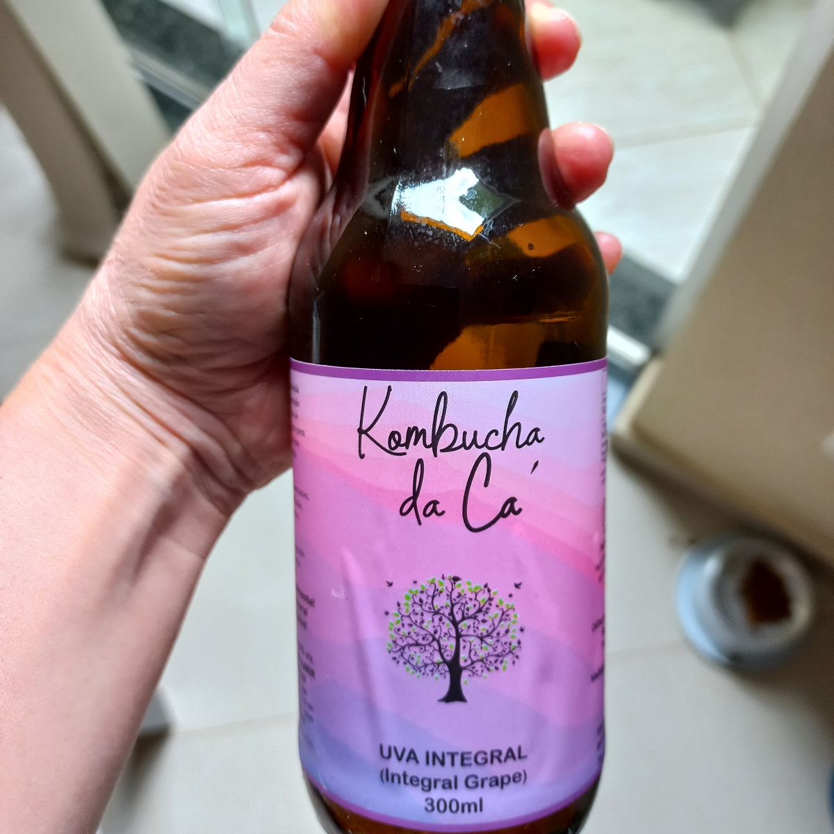 Kombucha da Cá Kombucha Uva Integral Reviews abillion