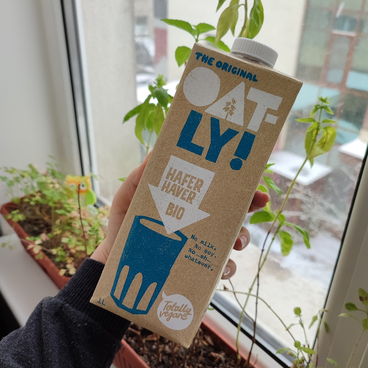 Oatly Hafer Haver Bio Drink Reviews Abillion