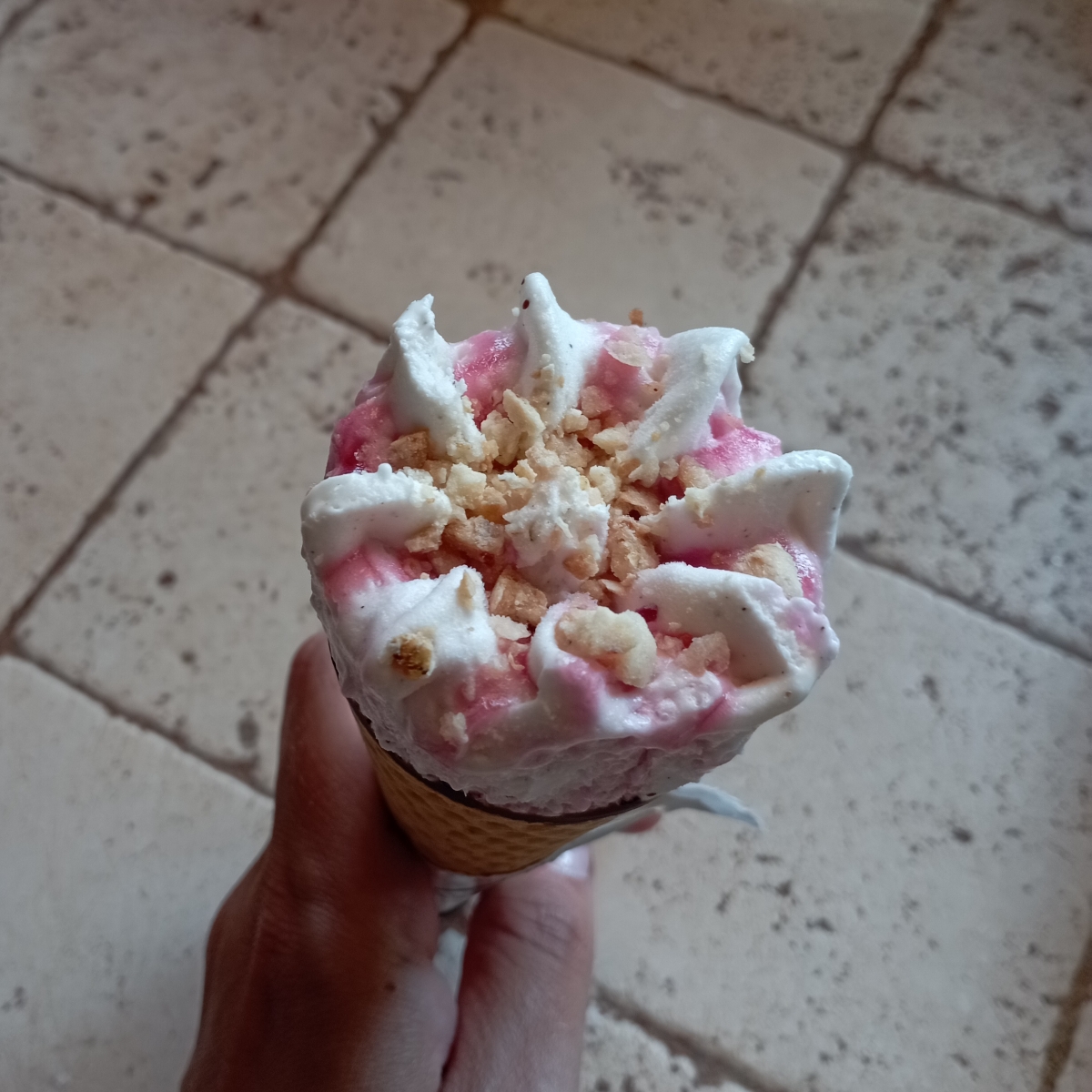 Sammontana Amando Coni Gelato Alla Vaniglia Variegati Ai Frutti Di