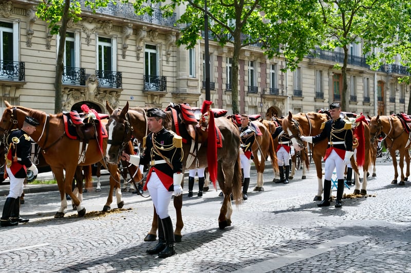 horses during a parade in paris