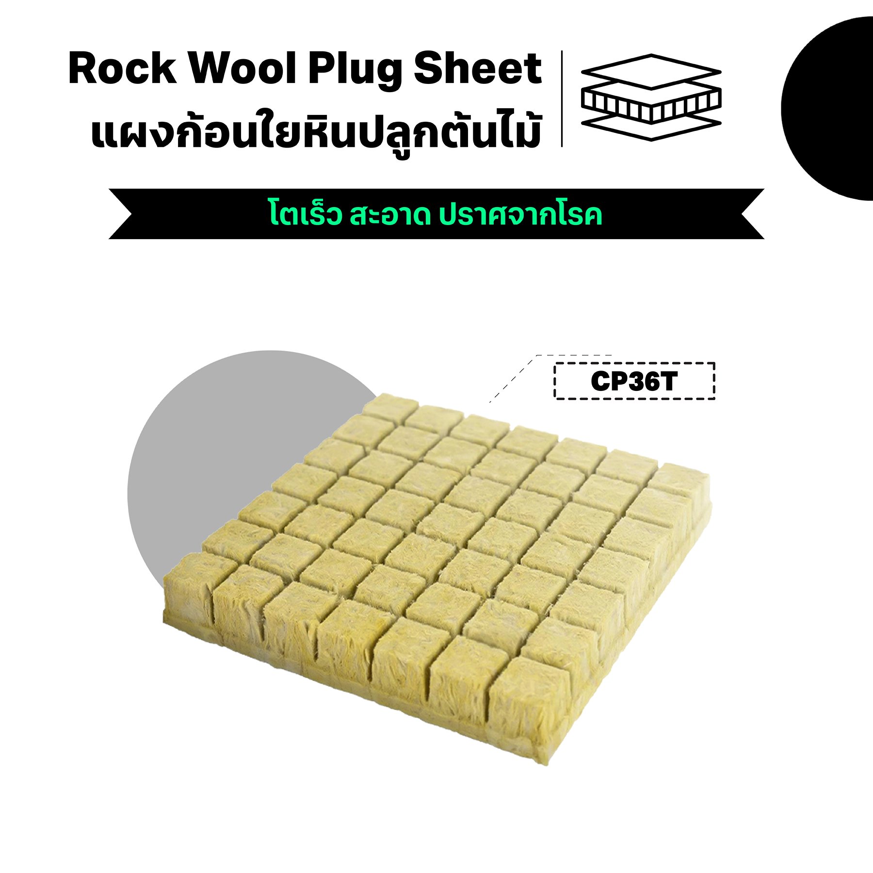 RockWoolShopee Rockwool Plug Sheet (Upuper) | ร็อควูลแบบแผง วัสดุปลูกไร้ดิน แผงก้อนใยหินคุณภาพสูงแบบแผง 98ชิ้น - Image 1