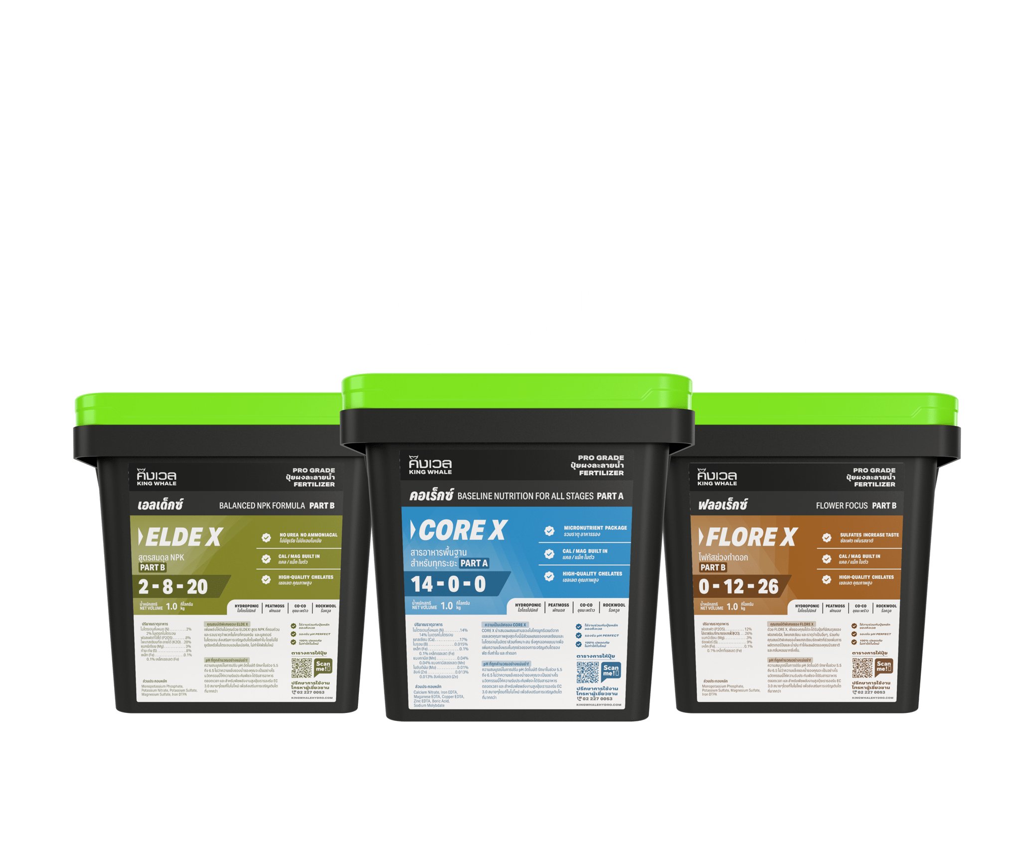 Grow Bigger, Healthier Plants Premium Fertilizers, Made in Thailand 5