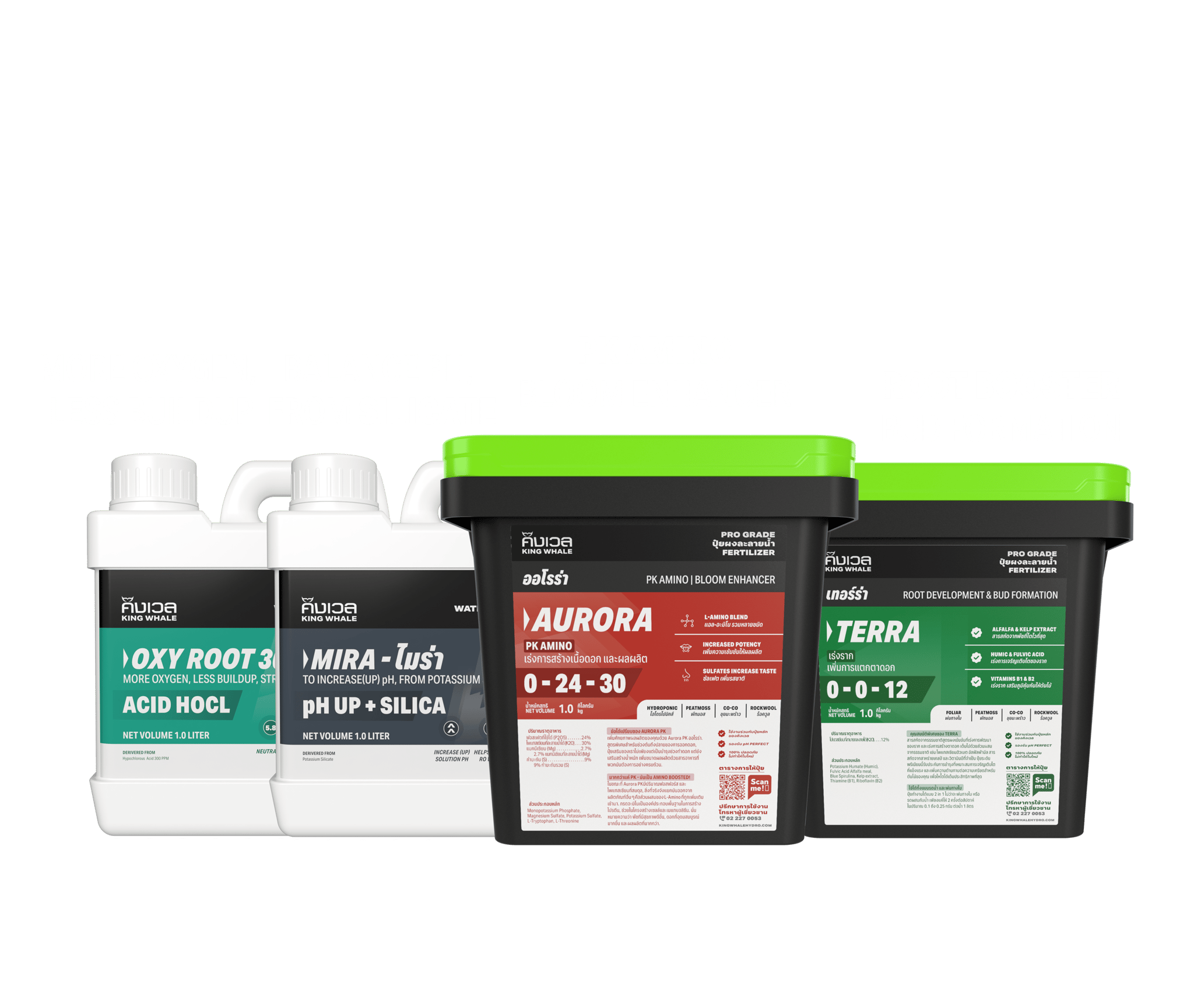 Grow Bigger, Healthier Plants Premium Fertilizers, Made in Thailand 6