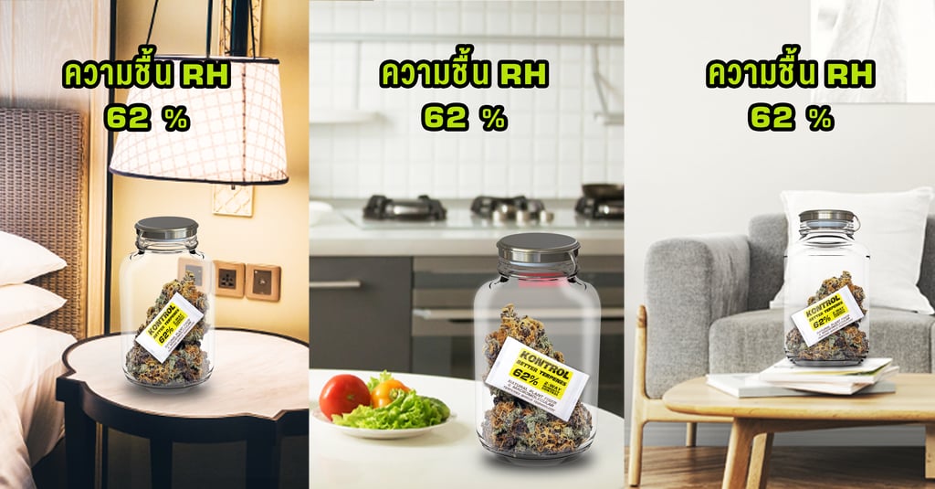 ทำไมต้องมีซองคุมความชื้น RH 62% สำหรับเก็บรักษากัญชาของคุณ? 4 ความชื้น 62%