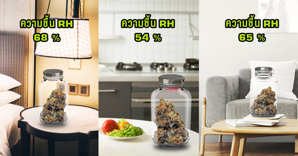 ทำไมต้องมีซองคุมความชื้น RH 62% สำหรับเก็บรักษากัญชาของคุณ? 3 ความชื้นสัมพัทธ์