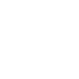 Mojobchod