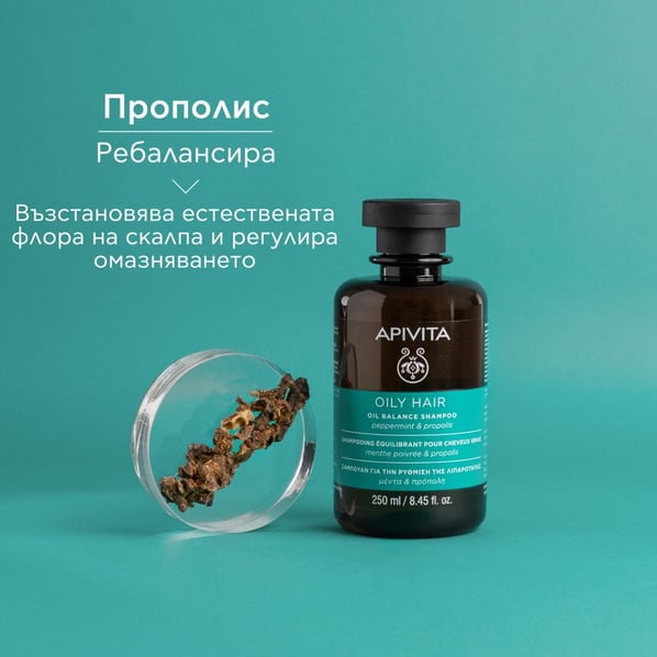 Apivita Шампоан за мазна коса х250 мл