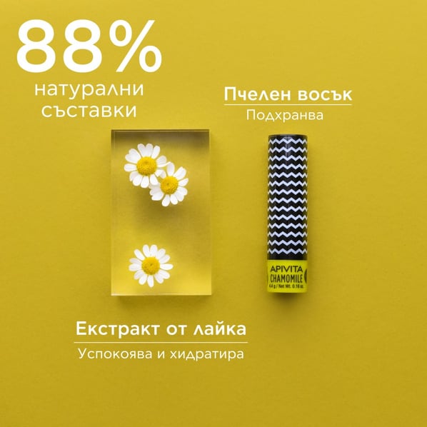 Apivita Стик за устни с лайка SPF15 х4.4 г