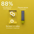 Apivita Стик за устни с лайка SPF15 х4.4 г