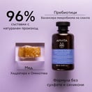 Apivita Шампоан за чувствителен скалп с пребиотици и мед х250 мл
