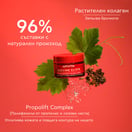 Apivita Beevine Elixir Обновяващ нощен крем х50 мл
