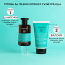 Apivita Шампоан за мазни корени и сухи краища х250 мл