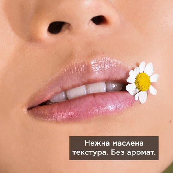 Apivita Стик за устни с лайка SPF15 х4.4 г
