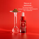 Apivita Beevine Elixir Уплътняващо стягащо масло за лице х30 мл