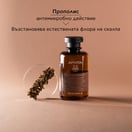 Apivita Шампоан против мазен пърхот с бяла върба х250 мл