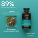 Apivita Шампоан за мазна коса х250 мл