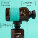 Apivita Шампоан за мазни корени и сухи краища х250 мл