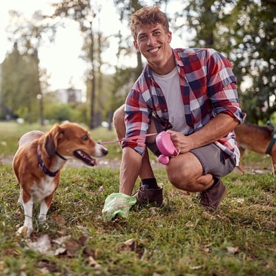 Eco-Friendly Pet Parenting: 12 Sustainable Swaps for Your Rescue Pet image