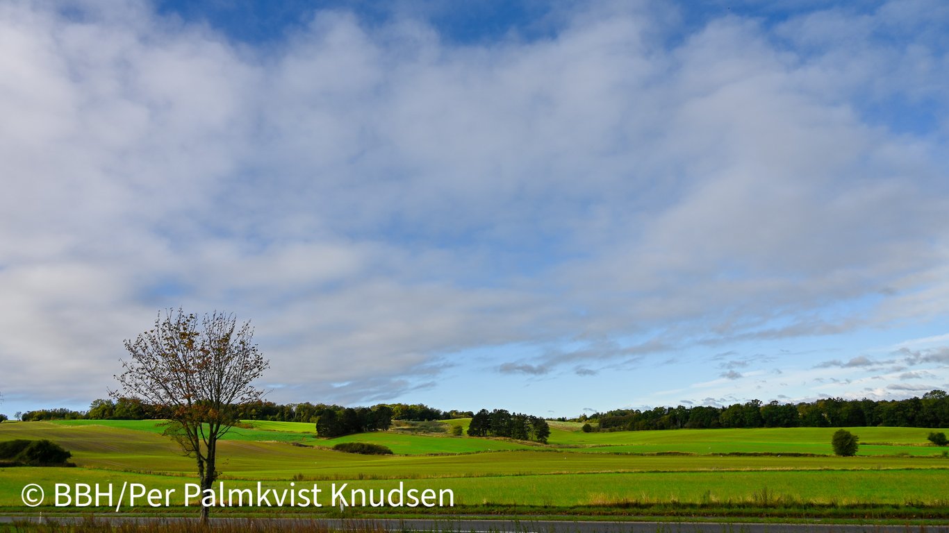 Efterår-Efterårslandskab ved Thorsager-Herbstlandschaft bei Thorsager