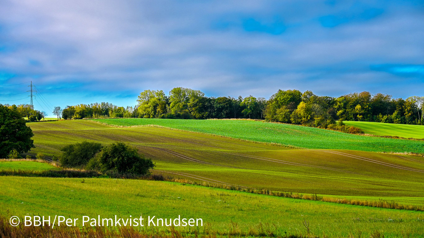 Efterårslandskab ved Thorsager-Herbstlandschaft bei Thorsager