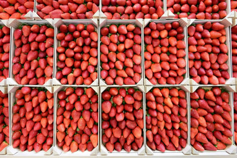 Strawberry