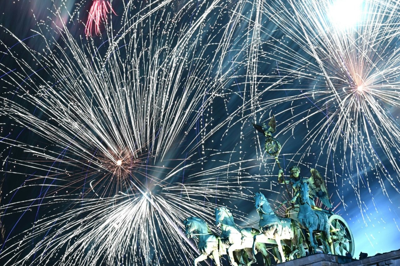 German Dog Owners Avoid New Year’s Eve Fireworks in Airport Hotels