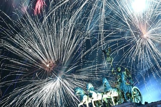 German Dog Owners Avoid New Year’s Eve Fireworks in Airport Hotels