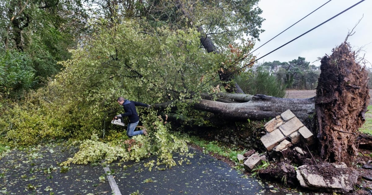 Germany Weather Warning: Powerful Storm and Heavy Rain Hit This Weekend
