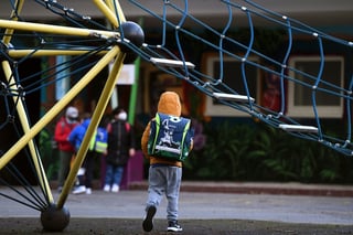 Educational Opportunities in Germany Tied to Parental Income and Eductaion