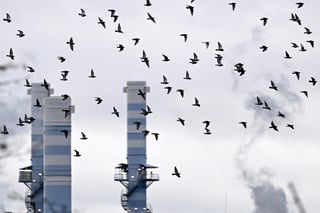 Germany Welcomes EU Move to Cut Industrial Energy Costs