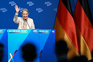 AfD Demands Stricter Citizenship Law in New Motion