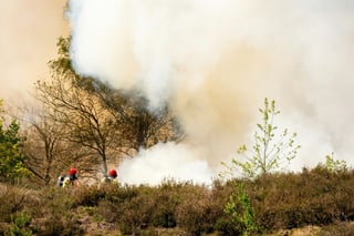 Wildfires Rage Across the Netherlands, Destroying Dozens of Hectares of Vegetation
