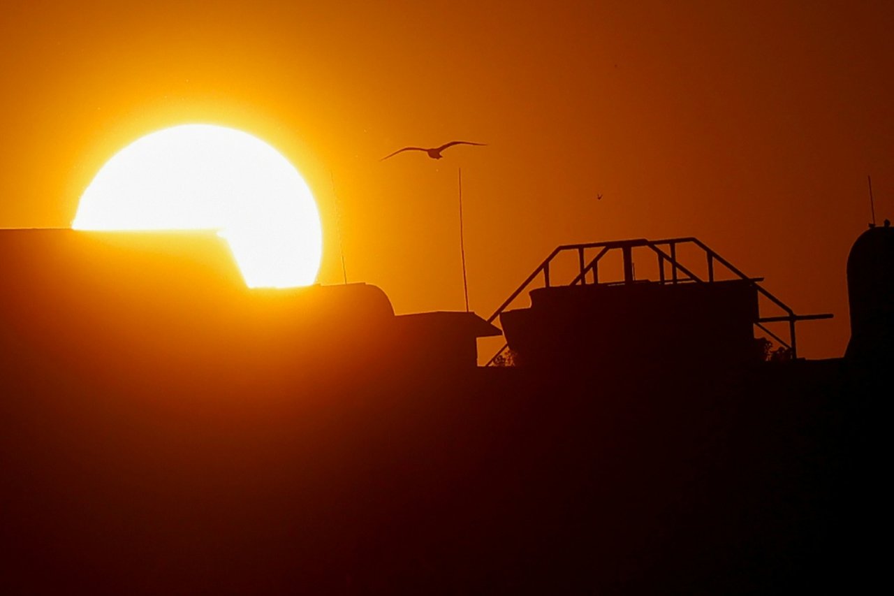 How Much Did June's Heatwave Cost the German Economy?
