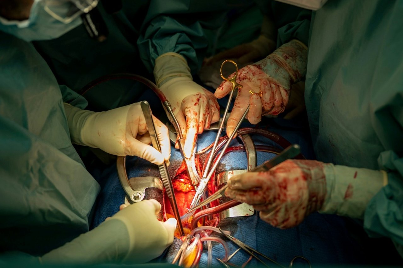 Germany Sees Slight Rise in Organ Donations in 2025