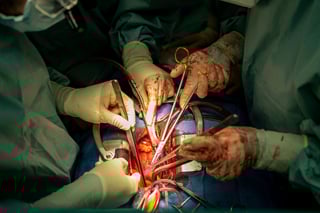 Germany Sees Slight Rise in Organ Donations in 2025