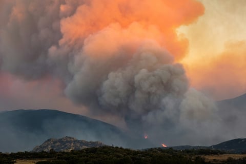 Wildfires Sweep Southern Europe: 19,000+ Hectares Burned