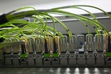 Why Most Germans Are Sceptical of New Data Centres?