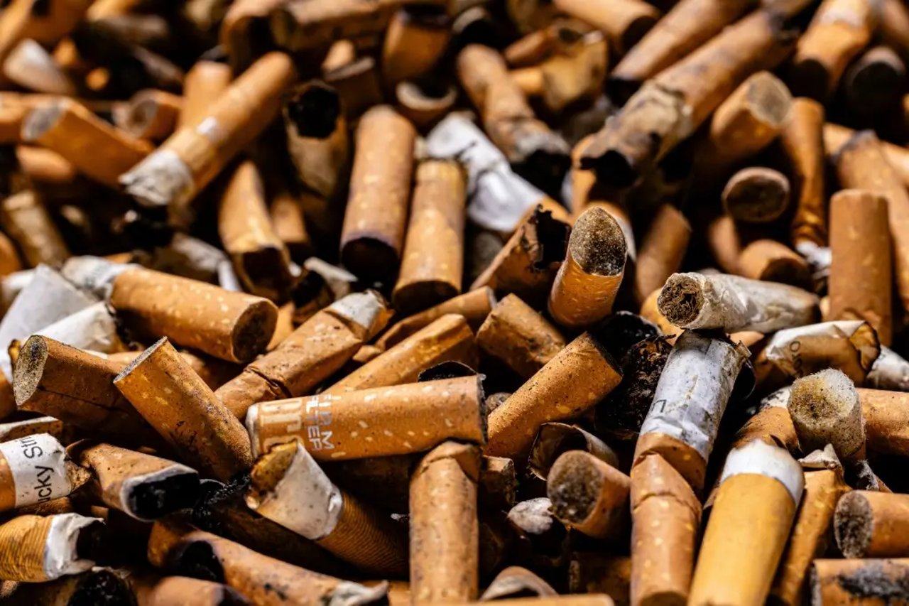 Nicotine found in Berlin waters from cigarette butts