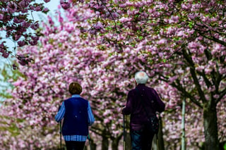 Cabinet Approves 4.24% Pension Increase Starting July 2026