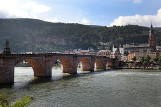Dramatic Rescue in Germany: Officer Saves Drunk Driver from Neckar River at Night