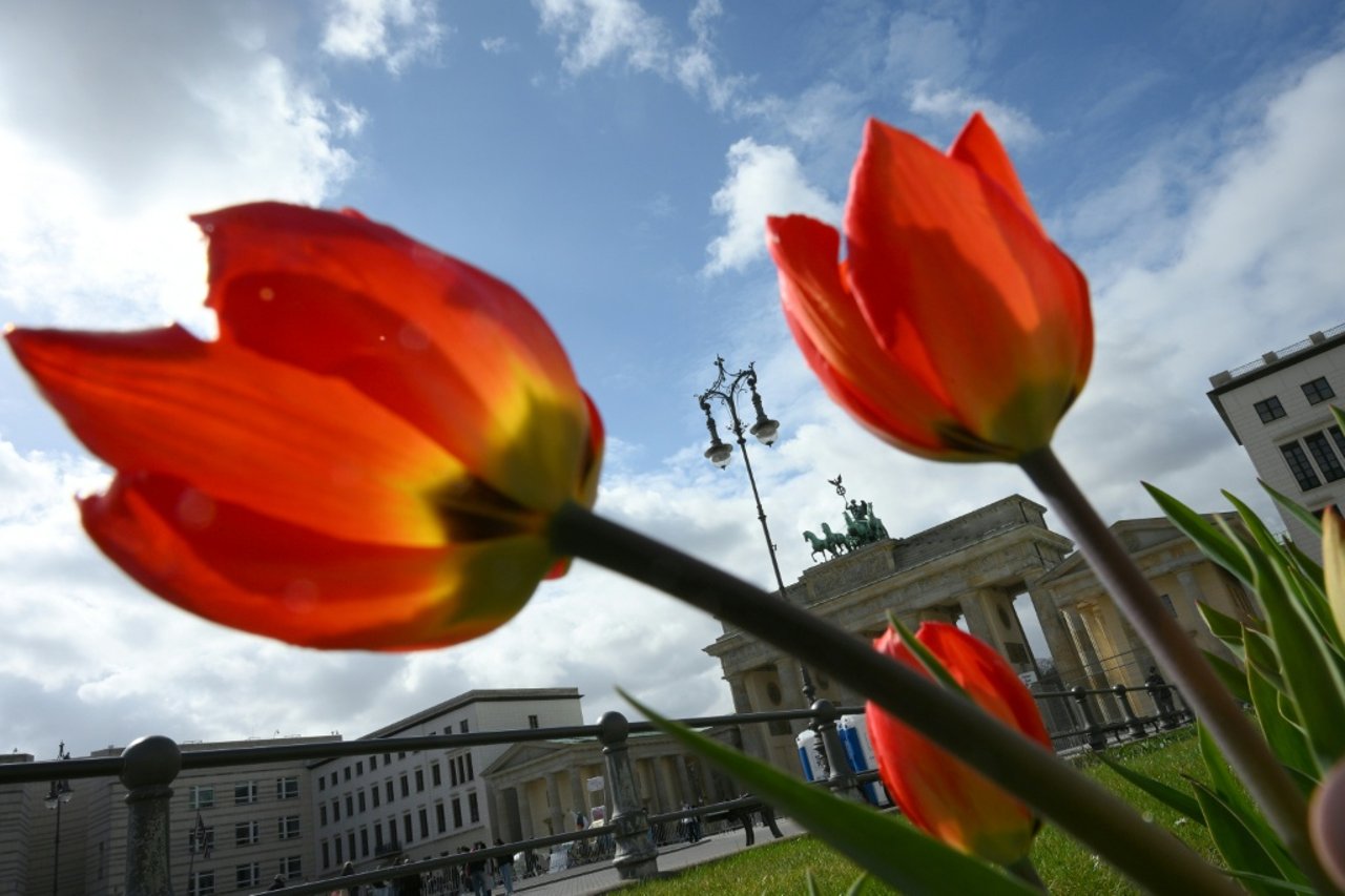 "Berlin Car-Free" Initiative Falls Short of Required Signatures