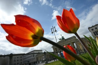 "Berlin Car-Free" Initiative Falls Short of Required Signatures