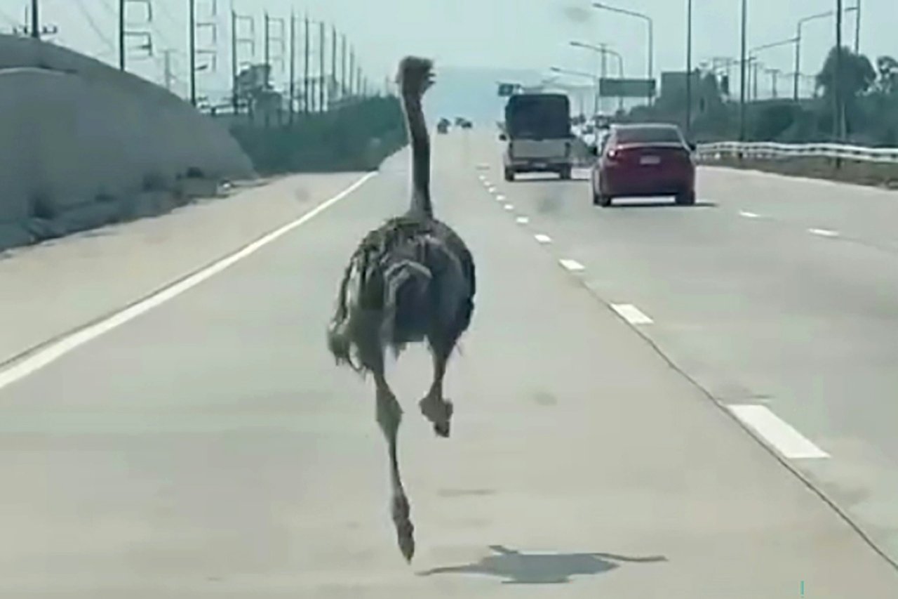 Funny Old World: This Week's Offbeat News Roundup