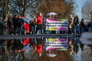 Massive Protests Across Germany Demand an AfD Ban Now 
