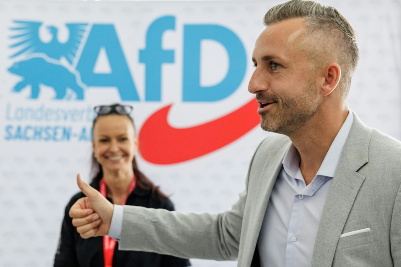 What Would AfD Do in Its First 100 Days in Power?