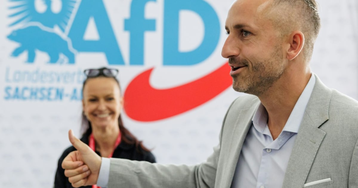 What Would AfD Do in Its First 100 Days in Power?